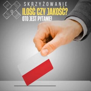 Home iloŚĆ czy jakoŚĆ