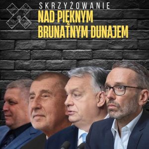 Home nad pięknym brunatnym dunajem