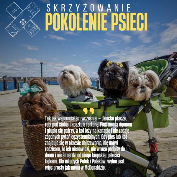 POKOLENIE PSIECI pokolenie psieci