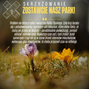 Home zostawcie nasz park!