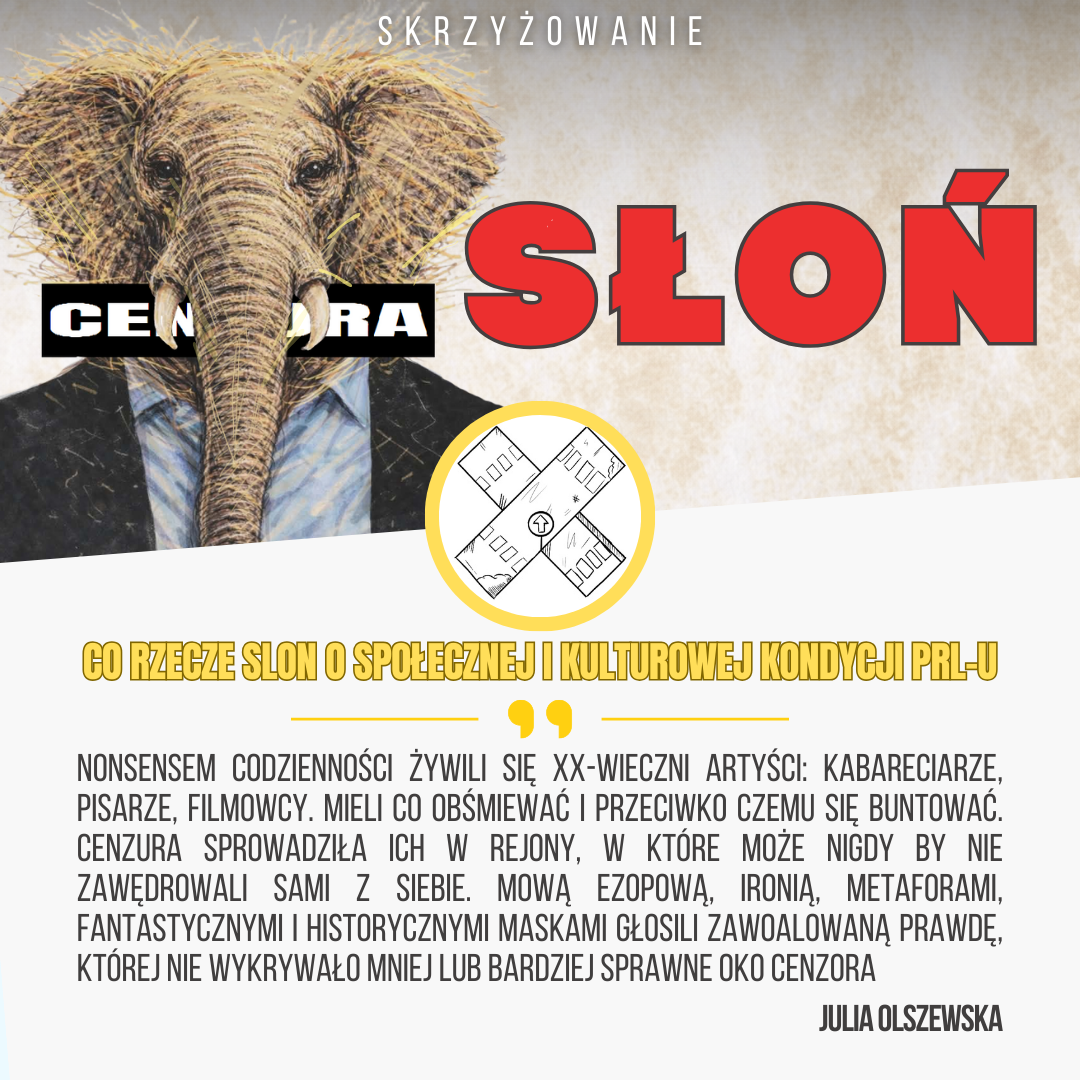 612320296 1385746923295590 5310250095802068074 n